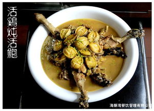 江苏海豚湾餐饮管理 打造餐饮品牌运营新标杆